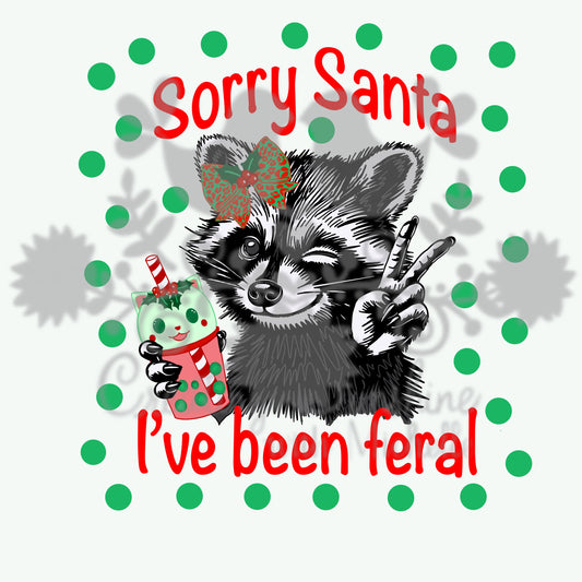 Raccoon Sorry Santa Feral PNG Digital File